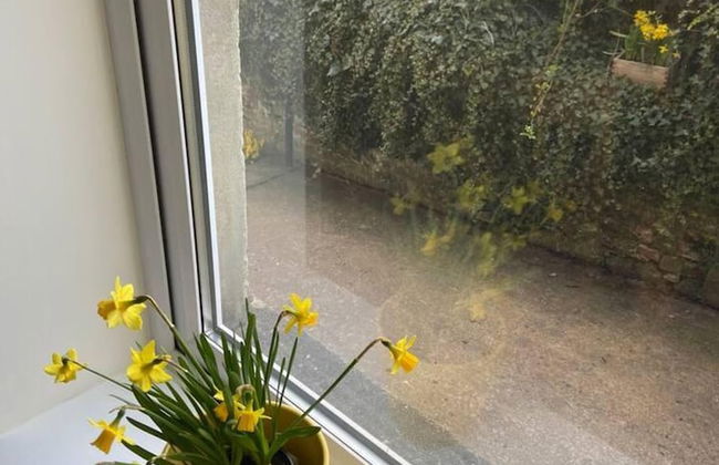 Town House in Ideal Location, Central Enniskillen - Photo 3