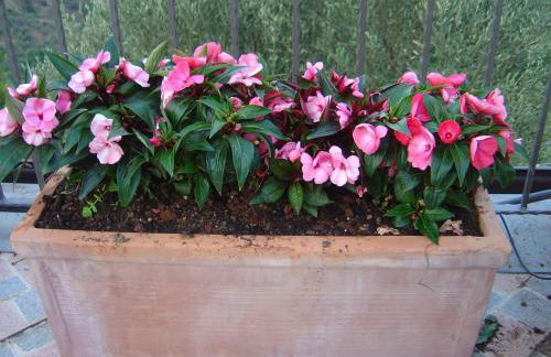 La Finestra sulle Eolie - Foto 79