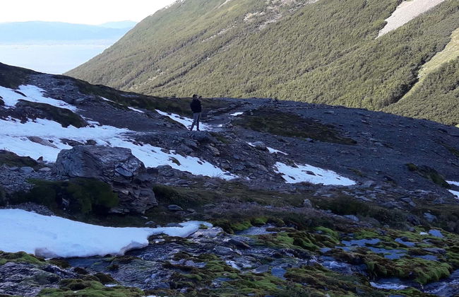 Martial Glacier Hike - Photo 1