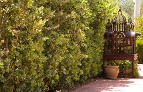 Villa Alegre Playa Calpe Grupo Terra de Mar, alojamientos con encanto - Foto 31