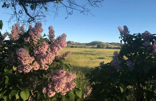 Stunning Cottage with Fire Pit in Saratoga, Wyoming - Foto 46