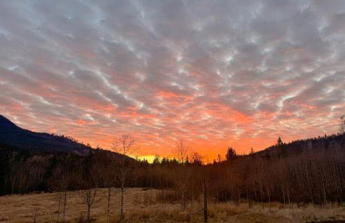 Nature Art Retreat on Breckenridge Creek with Pond! - Foto 43