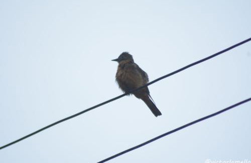 A Casinha Lumiar - Foto 48