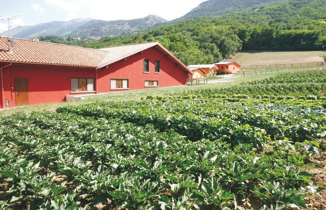 Fattoria Antica Forconia - Photo 18