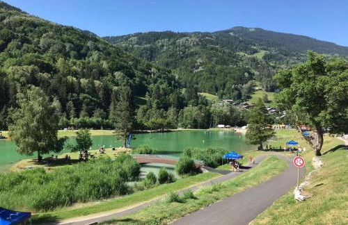 Chaleureux studio plein sud en Tarentaise ! - Foto 25