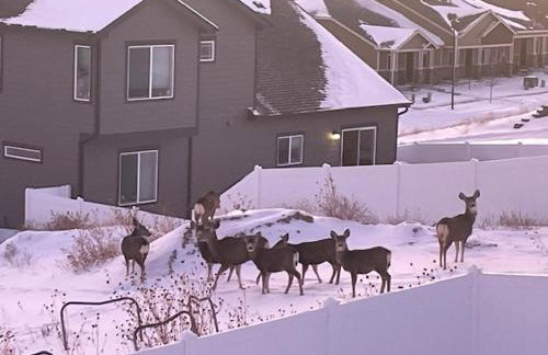 Modern Home, Breathtaking Views - Foto 22