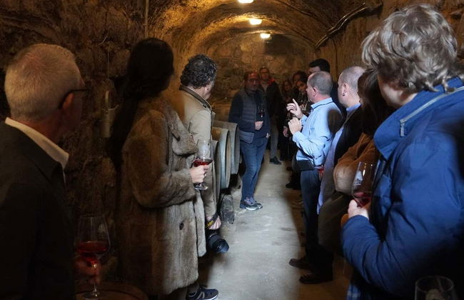 Visite de la Bodega Tovar - Photo 5