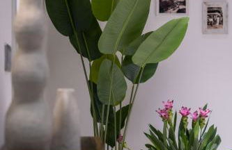 Vivi Milano B - Elegant & Bright 5-Bedroom Flexible Apartment Near Fair with Free Parking - Foto 24