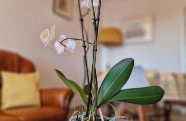 Juan-Les-Pins centre - Foto 28