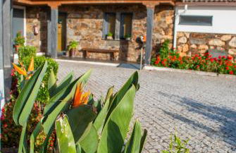 Alojamentos Turísticos São Torcato Moradal Turismo Espaço Rural - Foto 71