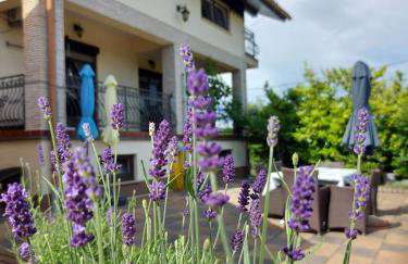 Apartman Nada - Foto 1