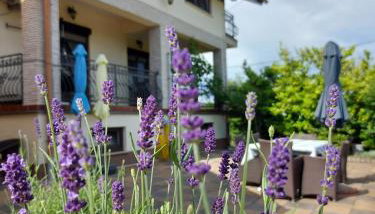 Apartman Nada - Foto 1