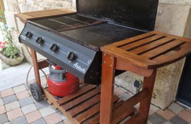 La chaume du marais poitevin avec barque green venice with boat - Foto 12