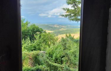 Country House La Collina di Bargiano - Casa Raffaella - Foto 2