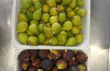 Agriturismo Cele - Foto 28