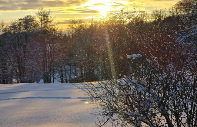 Fenced Garden, Friedrichsbrunn - Photo 39