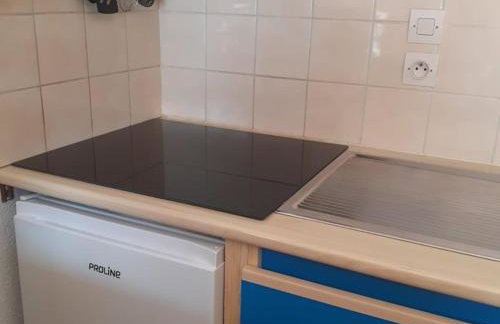 Studio avec balcon sud dans un écrin de verdure, Le Biot - FR-1-573-23 - Foto 10