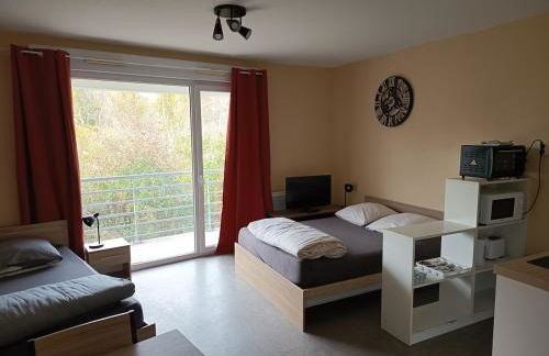 Grand Studio 4 couchages proche Université et CHU - Foto 1