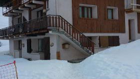 Les Myosotis - Foto 2