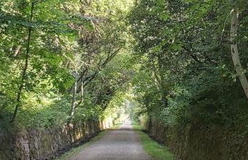 La Casa de Su - Foto 43