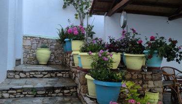 Pension Andromeda - Foto 3