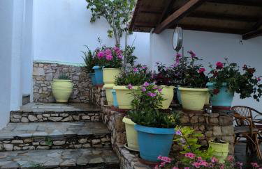 Pension Andromeda - Foto 3