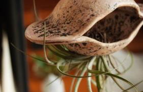 Cabana Sol do Norte - Foto 20