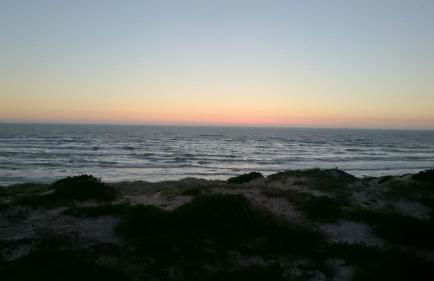 Blue Ocean - Foto 23