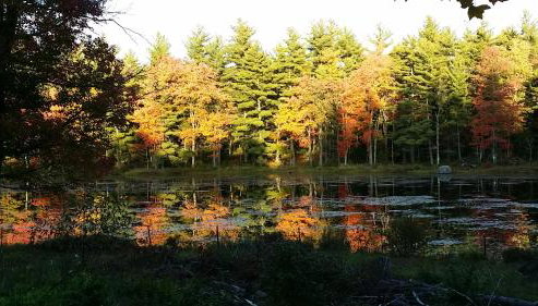 Pet-friendly, secluded, and peaceful pondside home near to Keene and Rindge NH - Foto 2