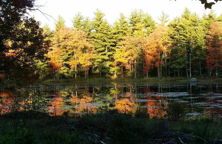 Pet-friendly, secluded, and peaceful pondside home near to Keene and Rindge NH - Foto 2