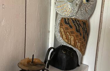 Zdzisiówka - Foto 19