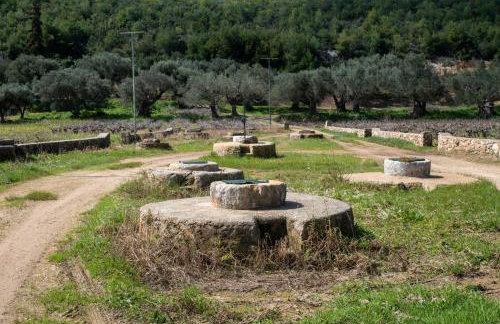 Timos Villas - Foto 49