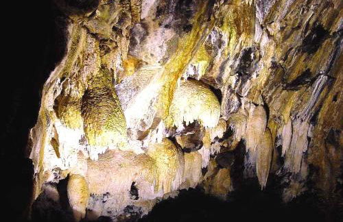 Casa das Cinco - Photo 29