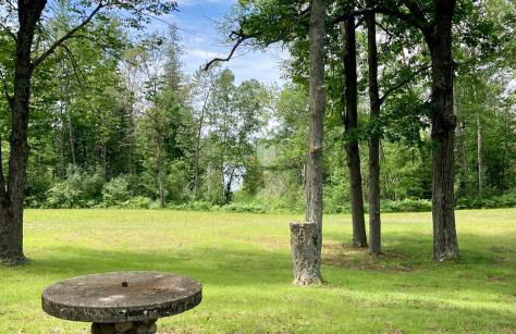 Cozy Private Log Cabin on acreage - Foto 11