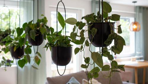 Bei Heussens - Foto 2