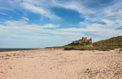 Carinya Cottage - Detached cosy cottage near Alnwick and Warkworth - Foto 31