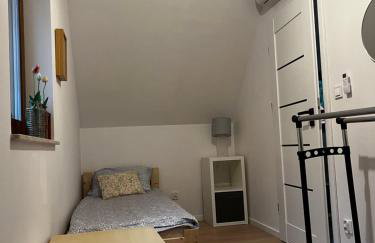 Szyszki i Motyle - Photo 9