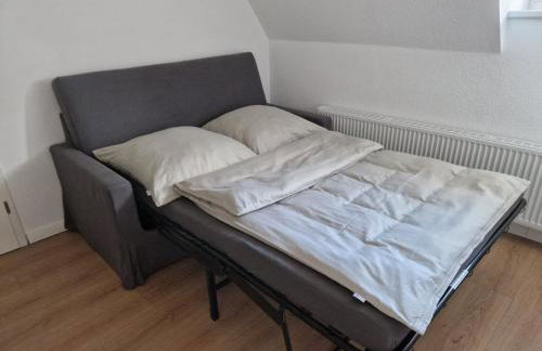 Robbe beim Ochsenturm am Deich - Foto 7