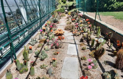 Tranquilla dependance nel verde dell'alta Brianza. - Foto 13