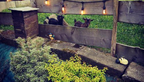 Gîte de charme : A la volette - Foto 4