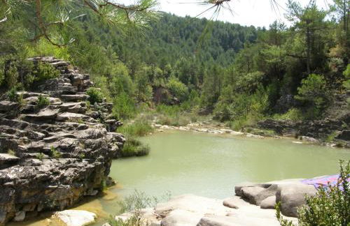 Natura Jordan - Foto 66