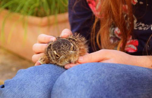 Valle del Lupo - Foto 40