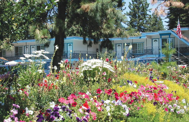 The Americana Village - Foto 32