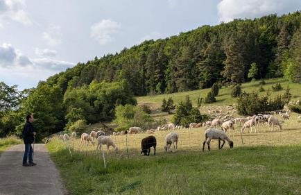 Ferienwohnung Eppler - Foto 27
