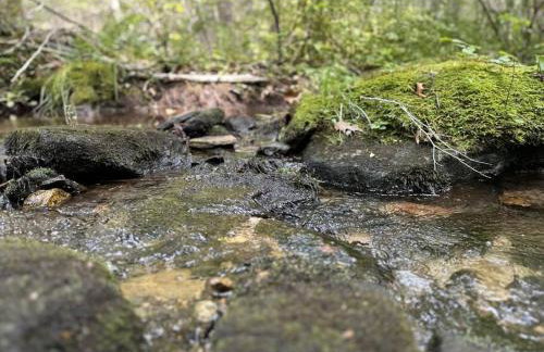 Historic Farm on 96 Acres! - Foto 7