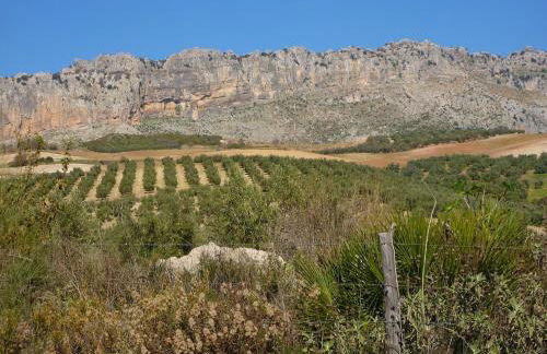 Family Stay with Private Pool - Foto 32