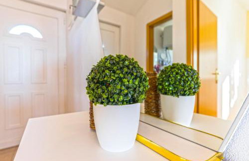 Apartments Marko Dominik - Foto 54