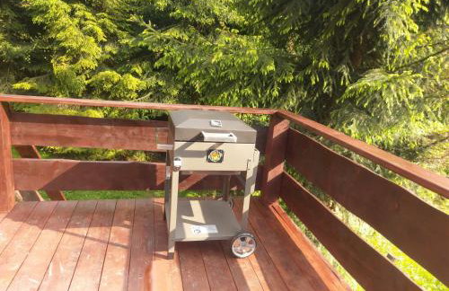 Góralski dom w Parku Krajobrazowym - Foto 23