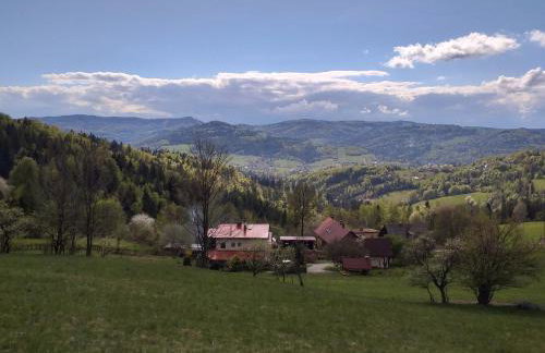 Chatka Milkowska - Foto 27