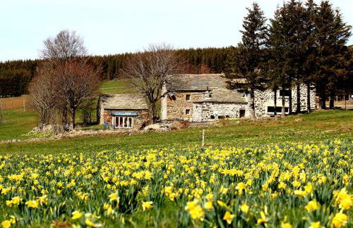 Gite Le Buisson - Spa and sauna - Foto 1